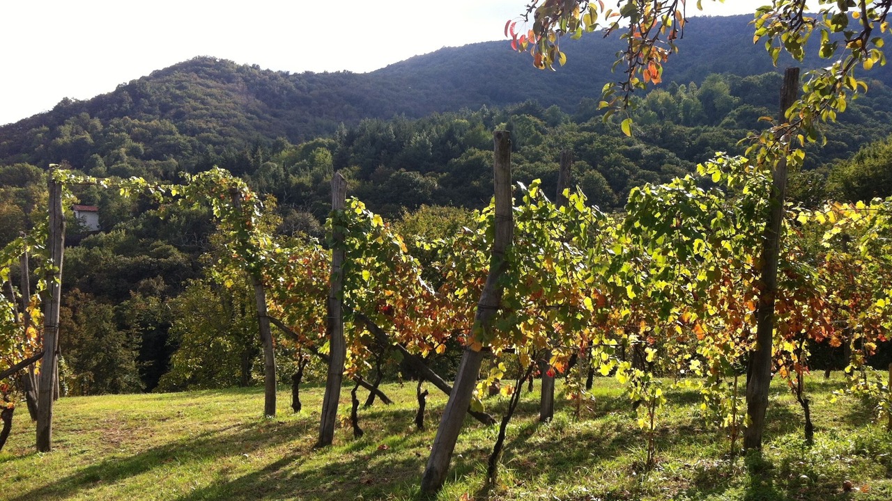 Photo of Outdoor in San Secondo di Pinerolo