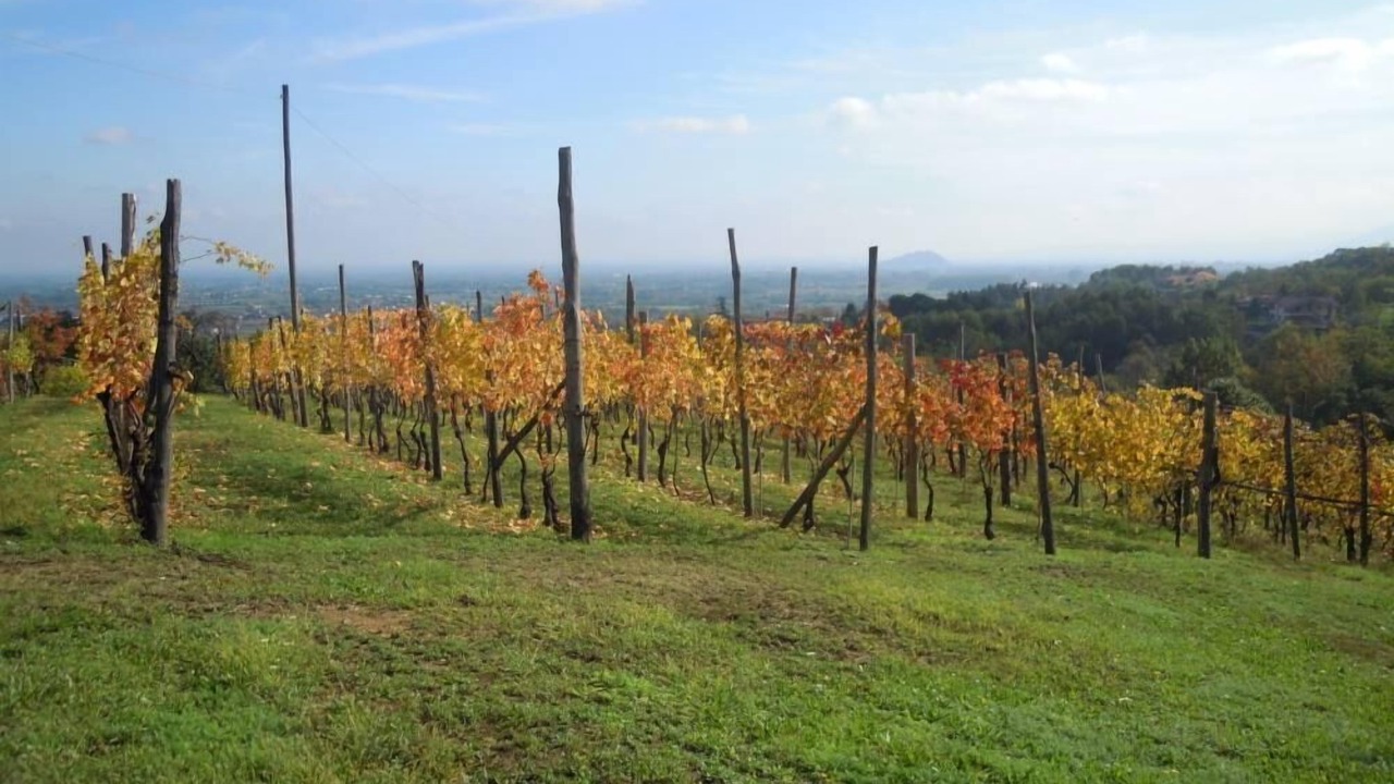 Photo of Outdoor in San Secondo di Pinerolo
