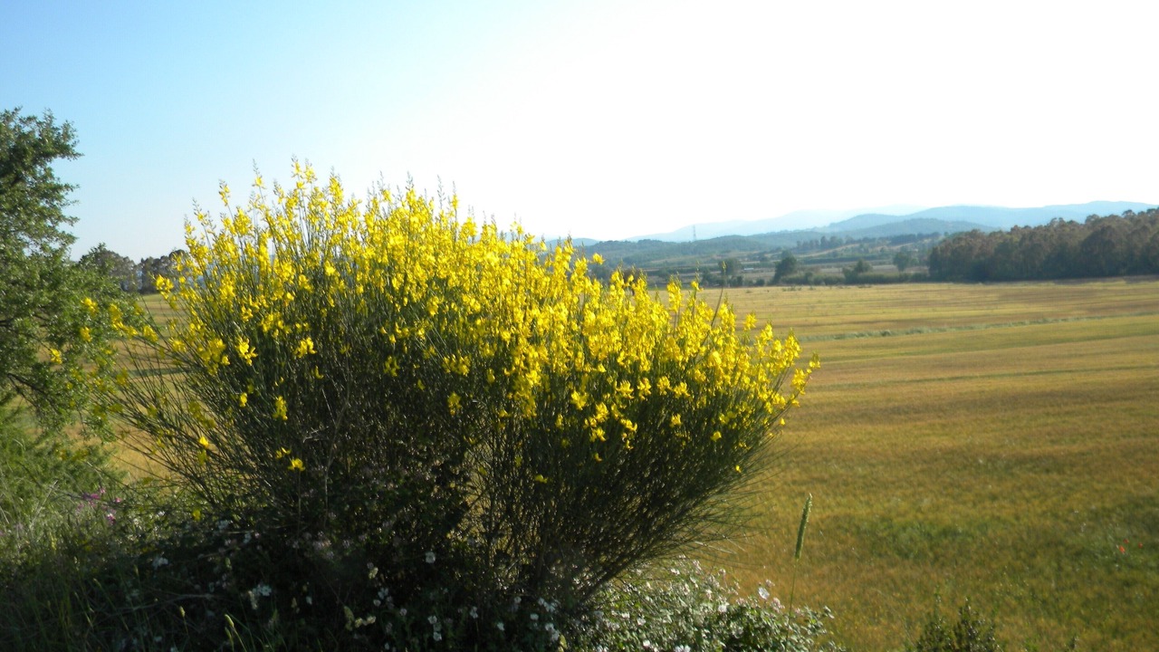 Photo of Outdoor in Monticiano