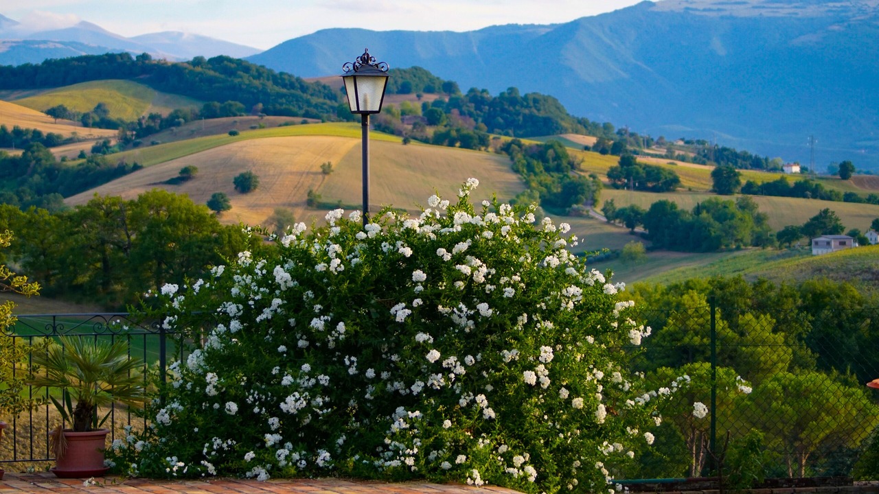 Photo of Outdoor in Tolentino