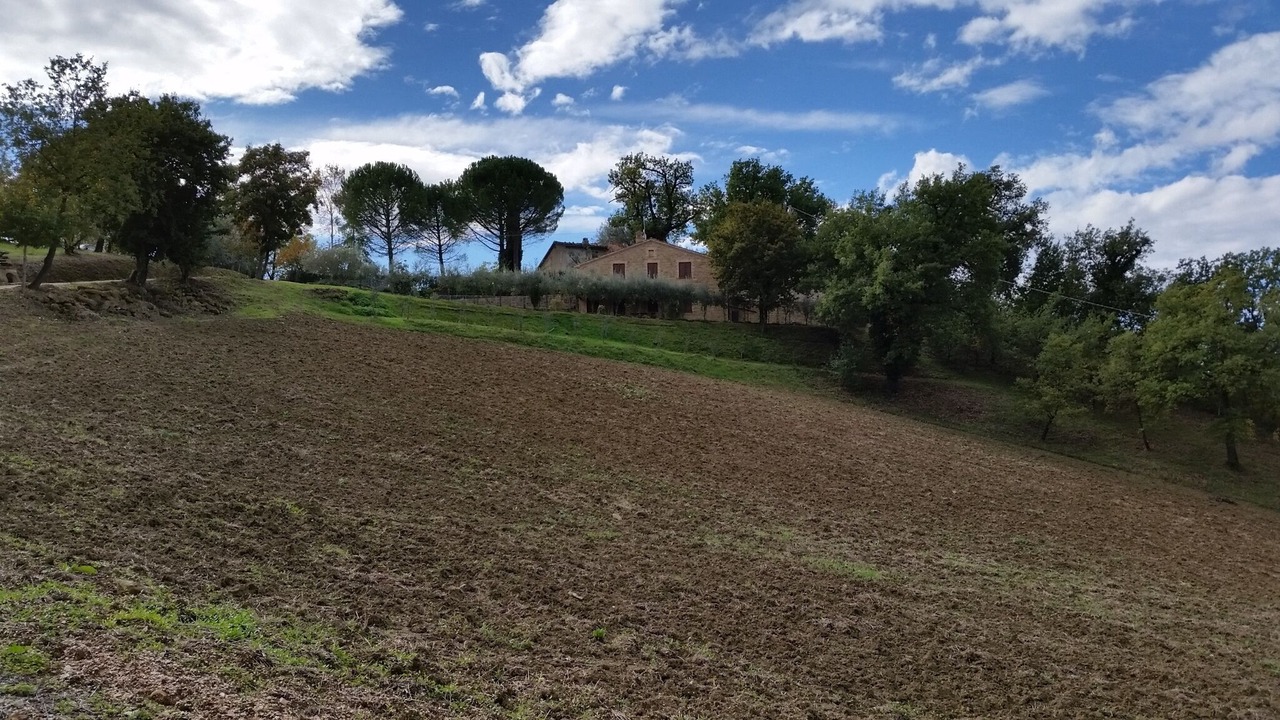 Photo of Outdoor in Tolentino