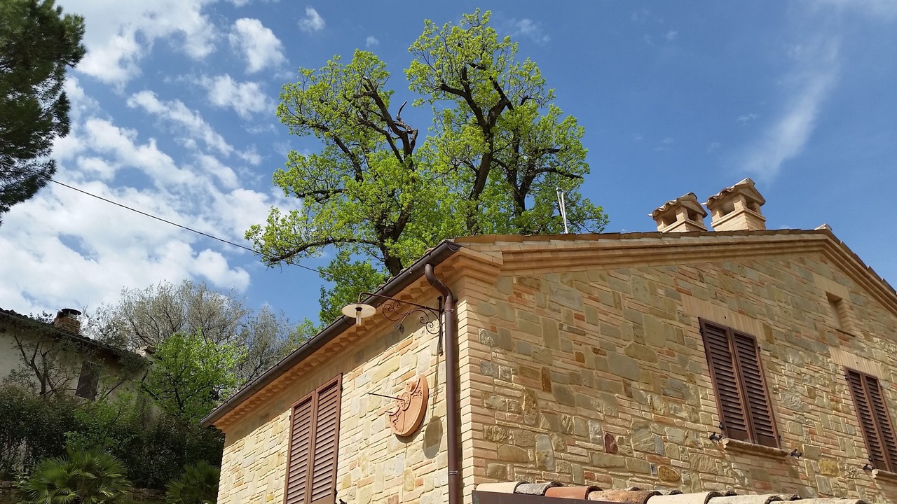 Photo of Outdoor in Tolentino