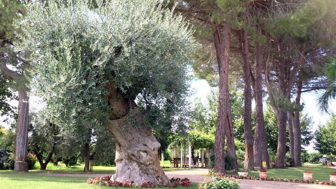 Photo of Outdoor in Ginosa Marina