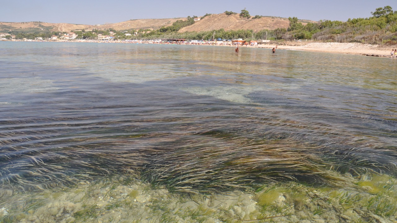 Photo of Others in San Giorgio