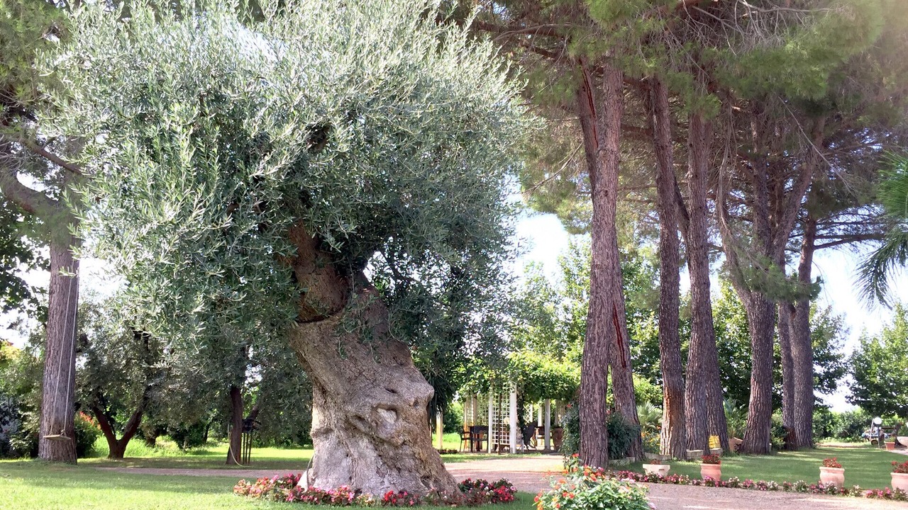 Photo of Outdoor in Ginosa Marina