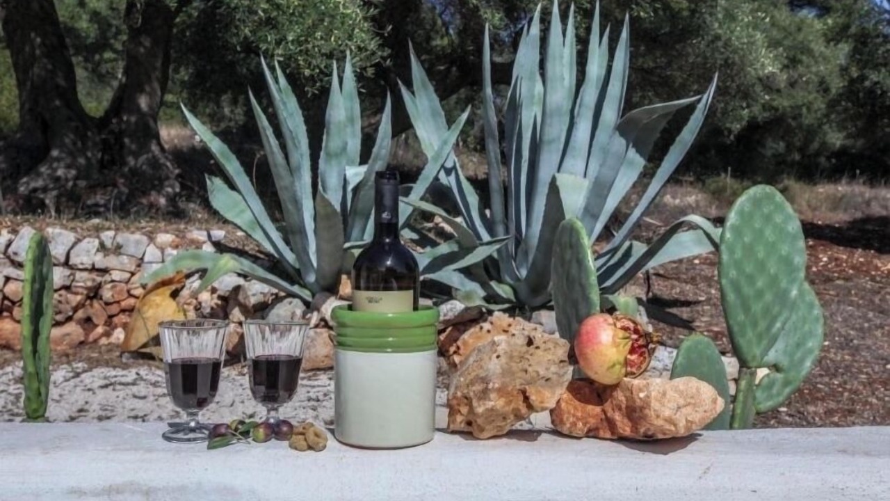 Photo of Outdoor in Fumarola