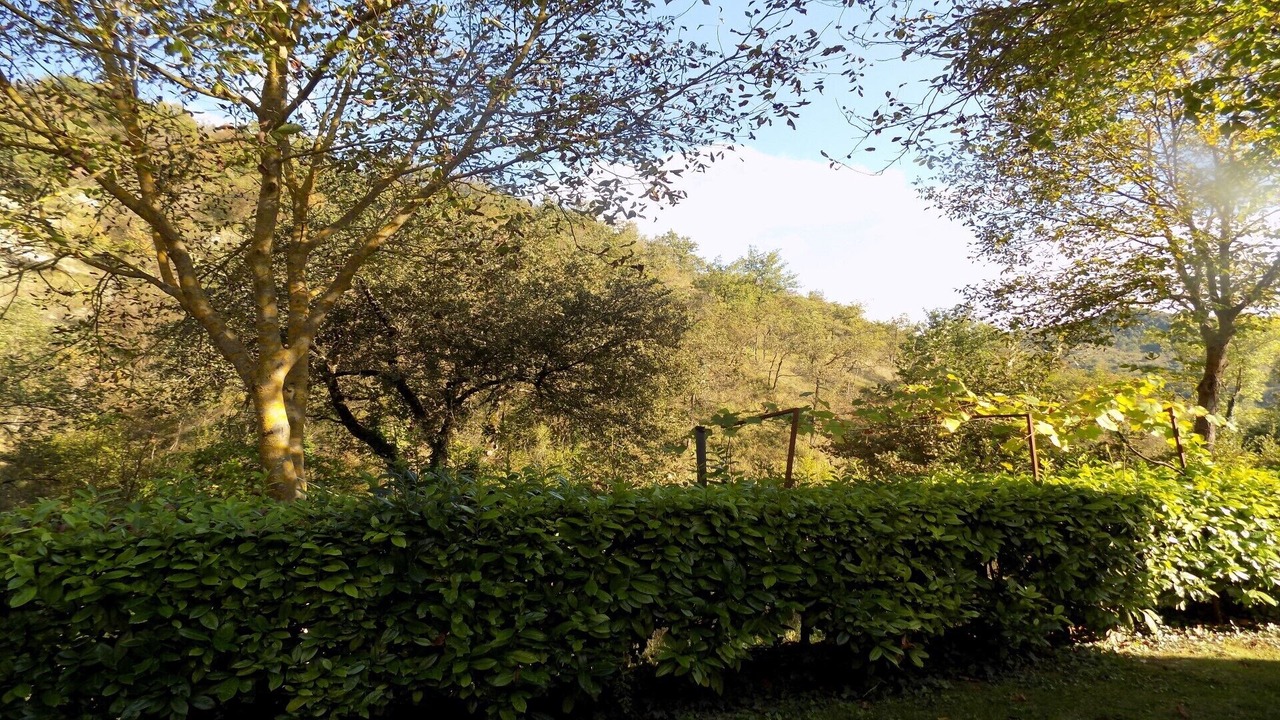 Photo of Outdoor in Acqualagna