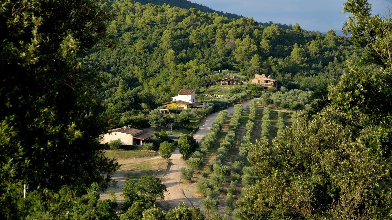 Photo of Outdoor in Gualdo Cattaneo