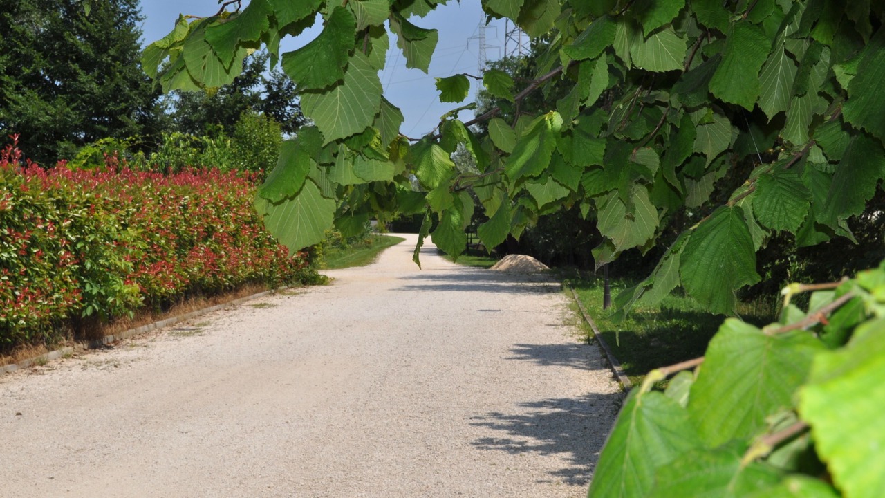 Photo of Outdoor in Spinea