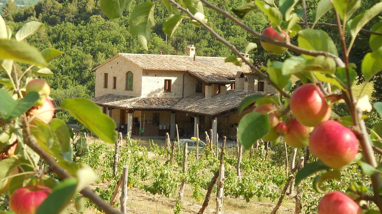 Photo of Outdoor in Vallo di Nera