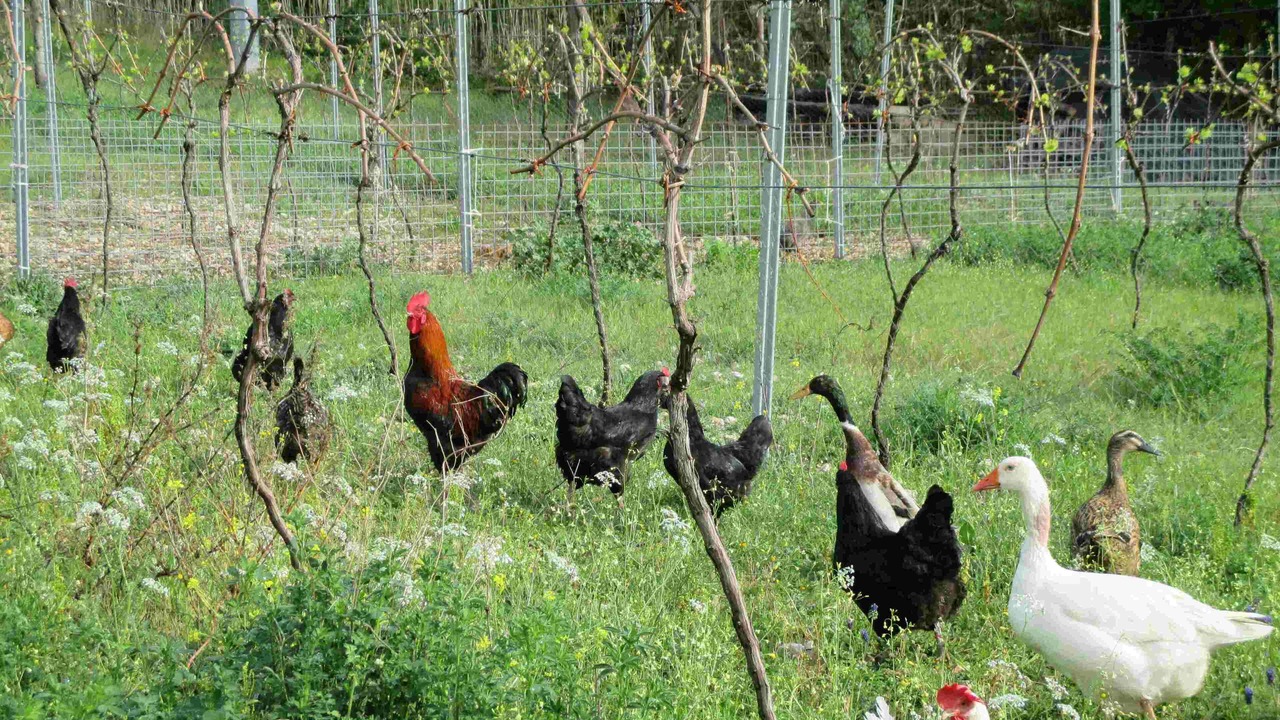 Photo of Others in Vallo di Nera