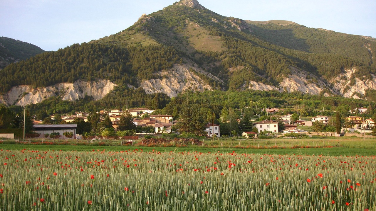 Photo of Outdoor in Barete