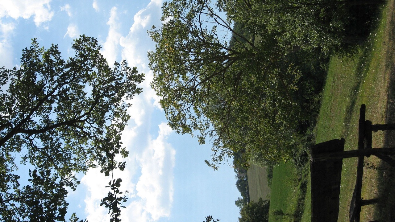 Photo of Outdoor in Acqualagna