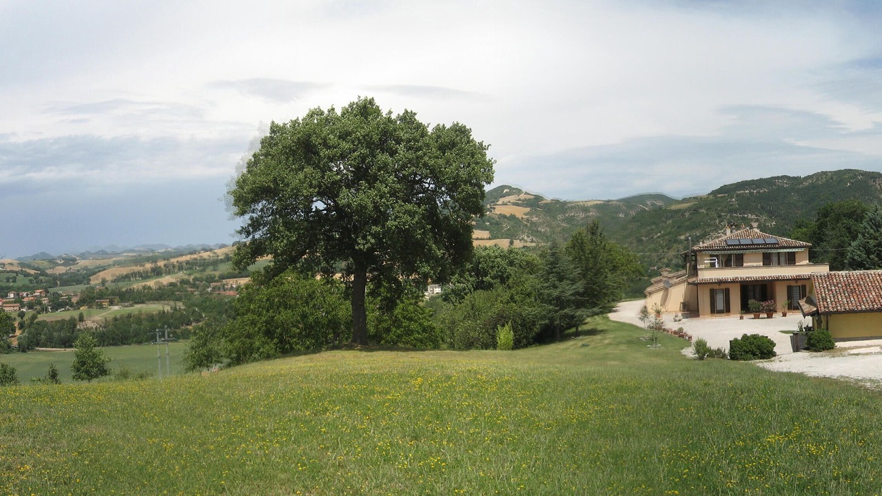 Photo of Others in Acqualagna