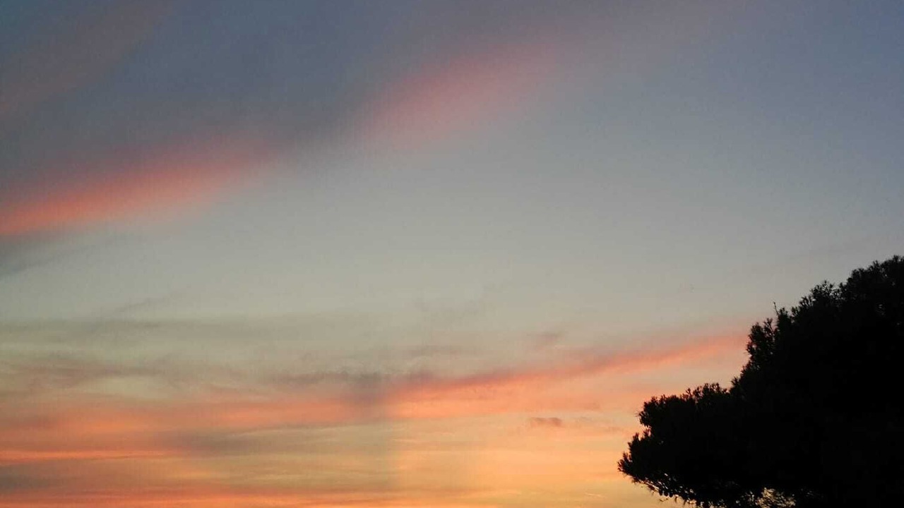 Photo of Others in Cala Piccola