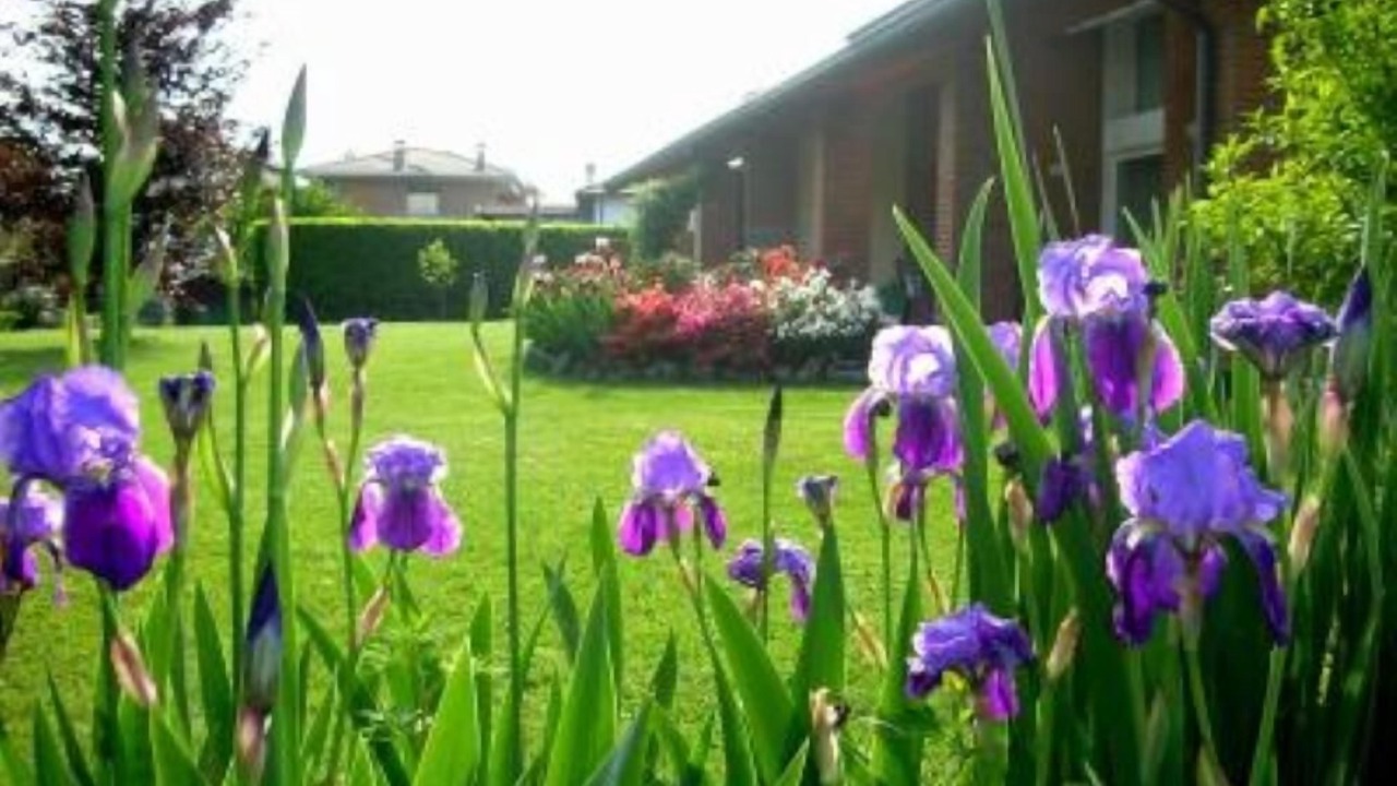 Photo of Others in Borgo Ticino
