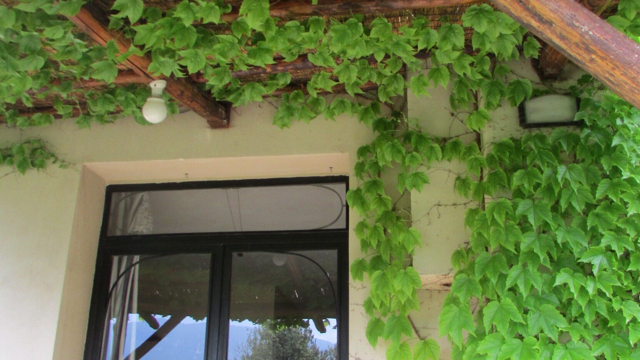 Photo of Outdoor in Tocco da Casauria