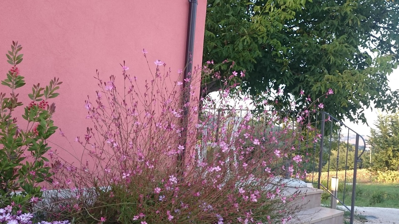 Photo of Outdoor in San Ginesio