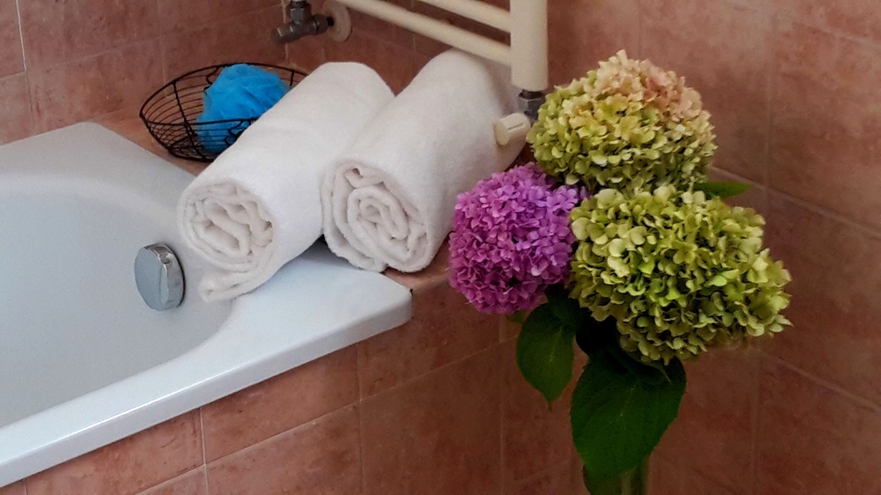 Photo of Bathroom in Noale