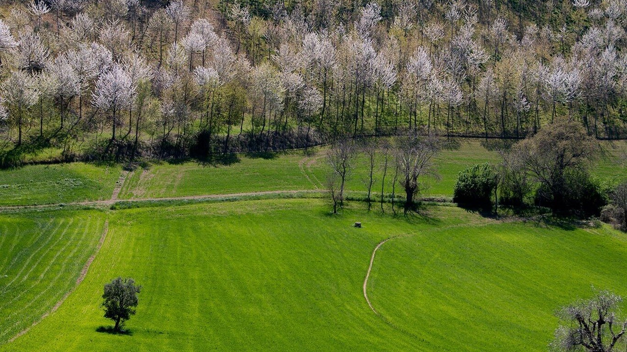 Photo of Others in Monte San Pietrangeli