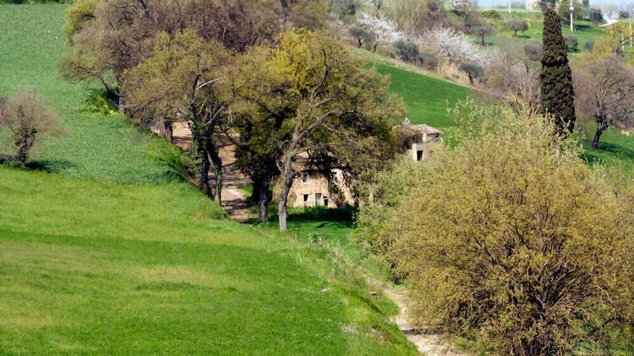 Photo of Others in Monte San Pietrangeli