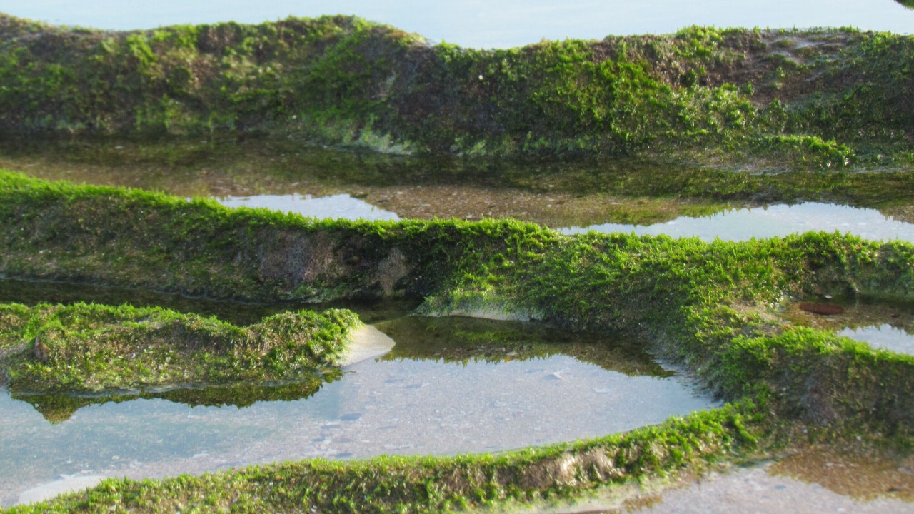 Photo of Outdoor in Arbaa Sahel