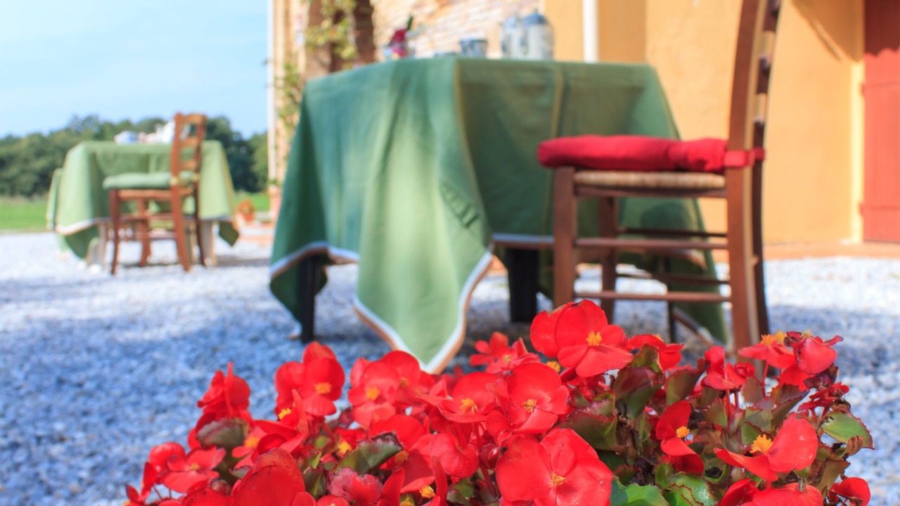 Photo of Outdoor in Guasticce