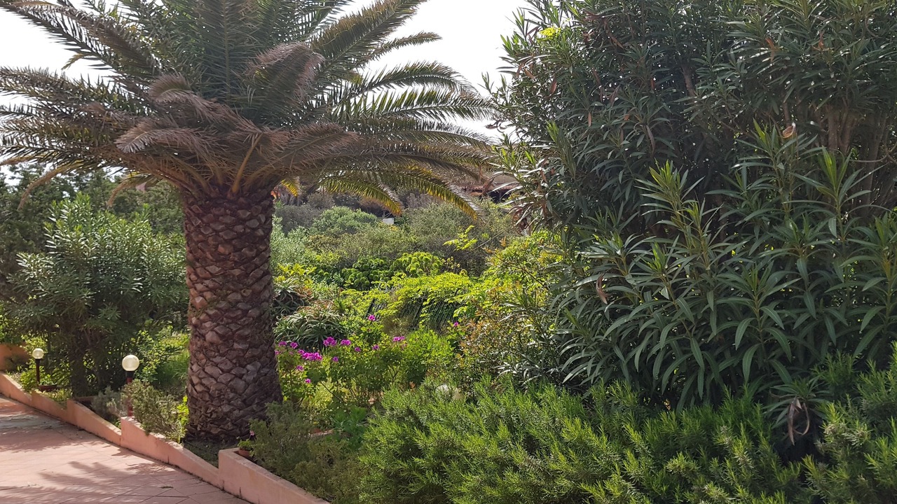 Photo of Outdoor in Villaggio Piras