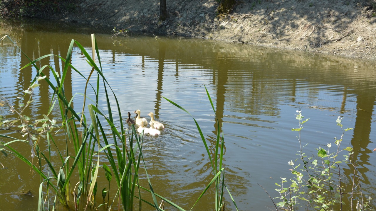 Photo of Outdoor in Baiano
