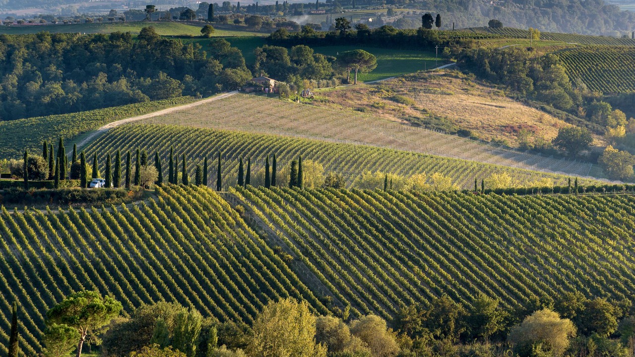 Photo of Outdoor in Acquaviva