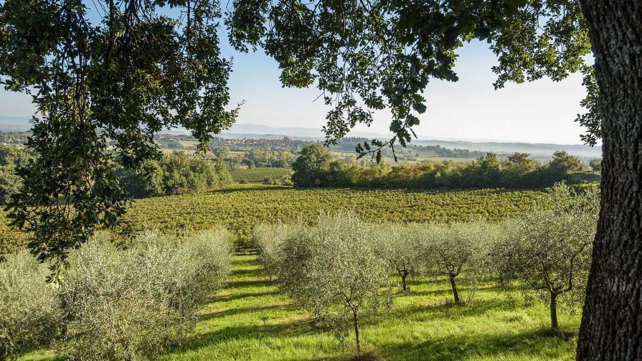 Photo of Outdoor in Acquaviva