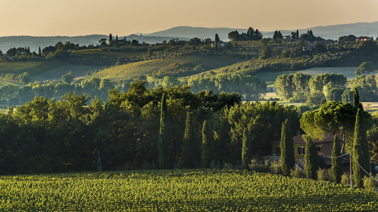 Photo of Outdoor in Acquaviva