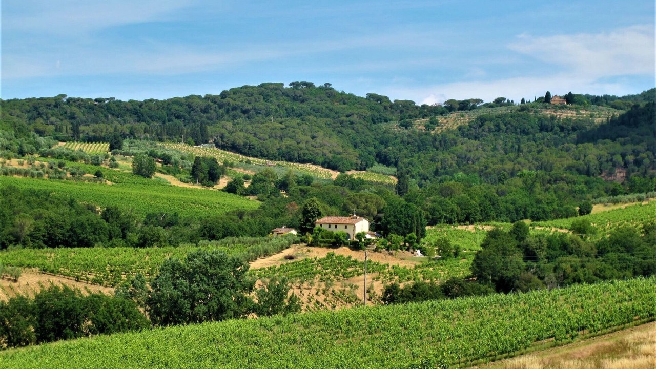 Photo of Others in Scandicci