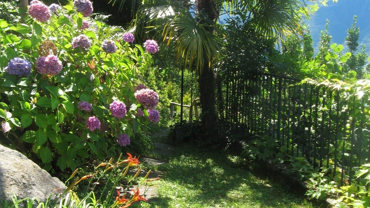 Photo of Outdoor in Gerra