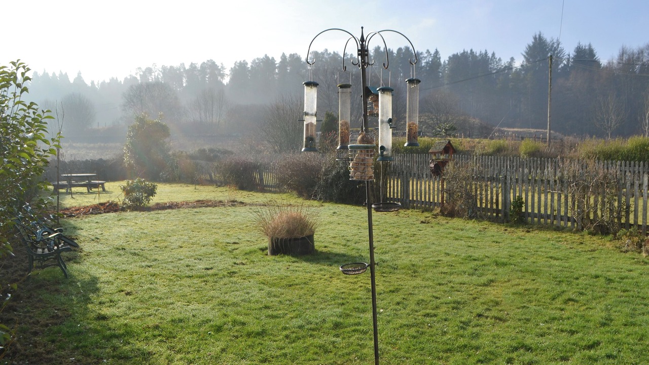 Photo of Outdoor in Kielder