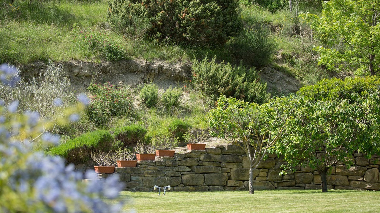 Photo of Outdoor in Assisi