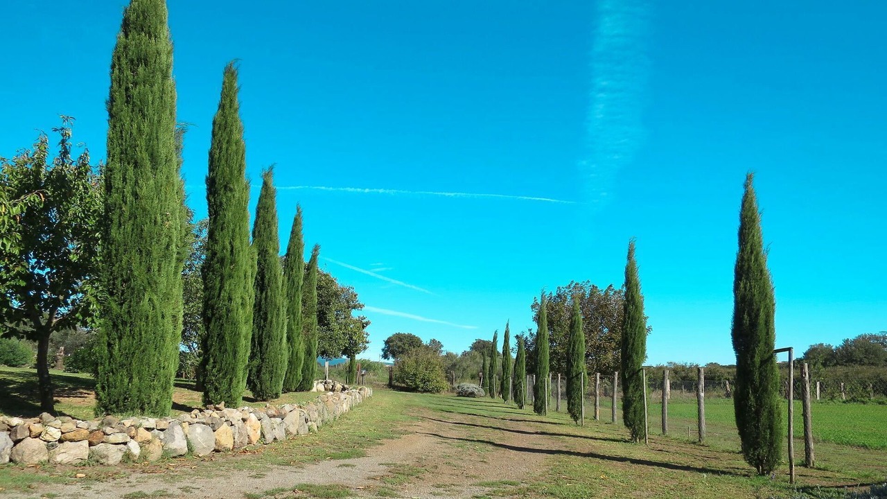 Photo of Others in Vetralla