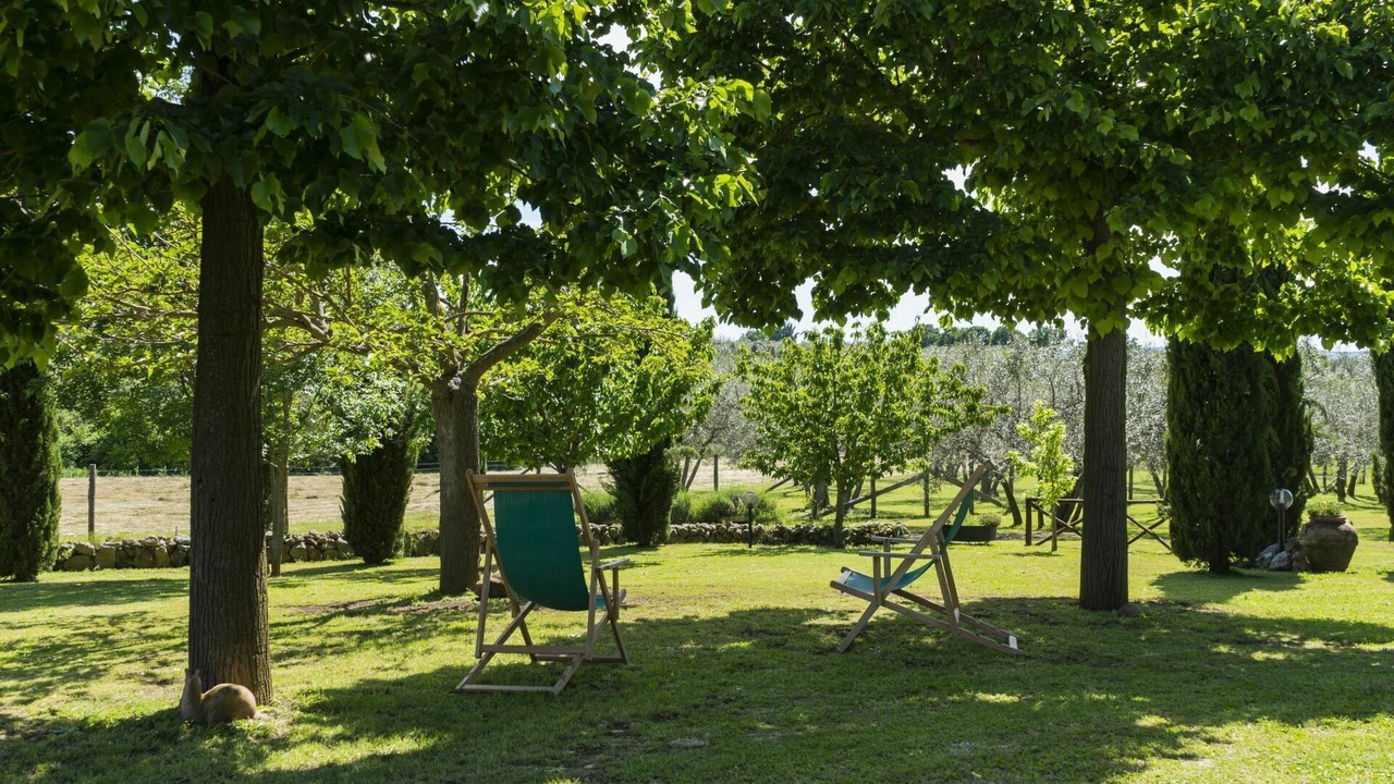 Photo of Outdoor in Vetralla