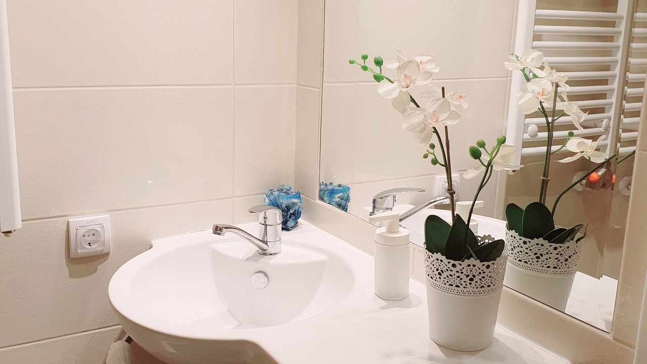 Photo of Bathroom in Vracar