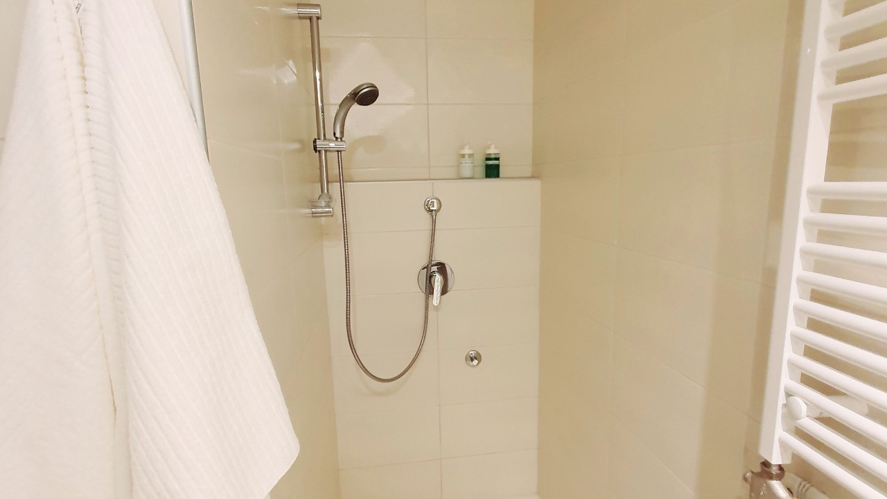 Photo of Bathroom in Vracar