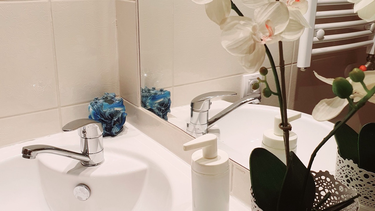Photo of Bathroom in Vracar