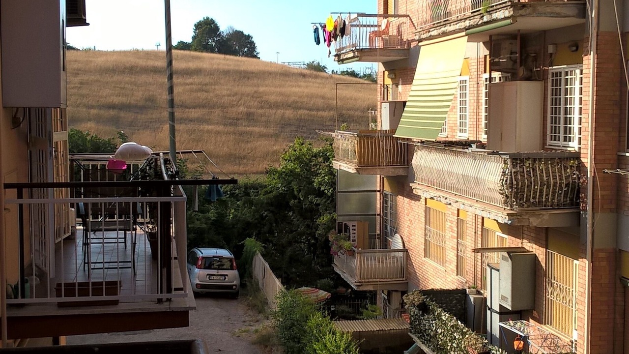 Photo of Outdoor in Cassia