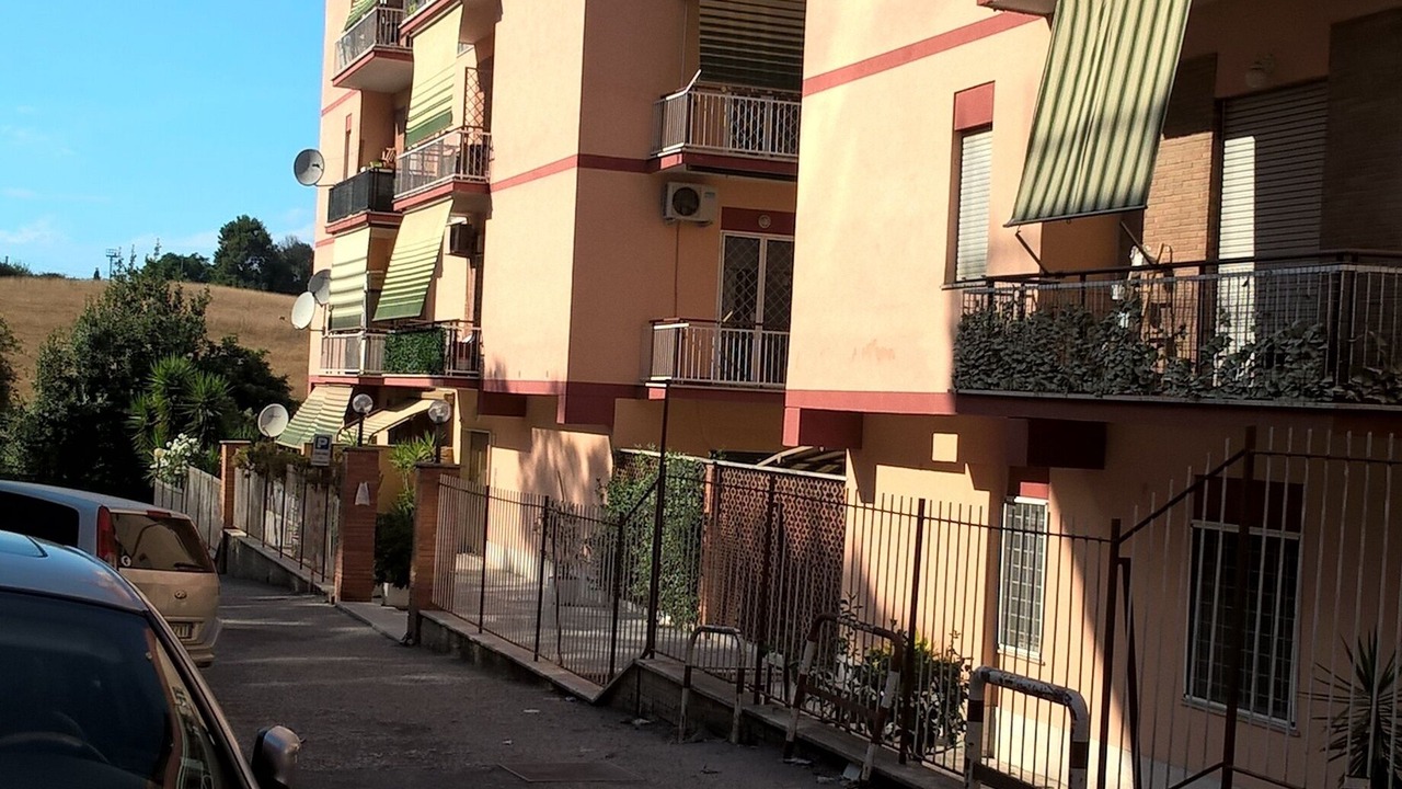 Photo of Outdoor in Cassia