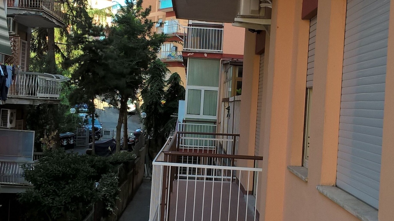 Photo of Outdoor in Cassia