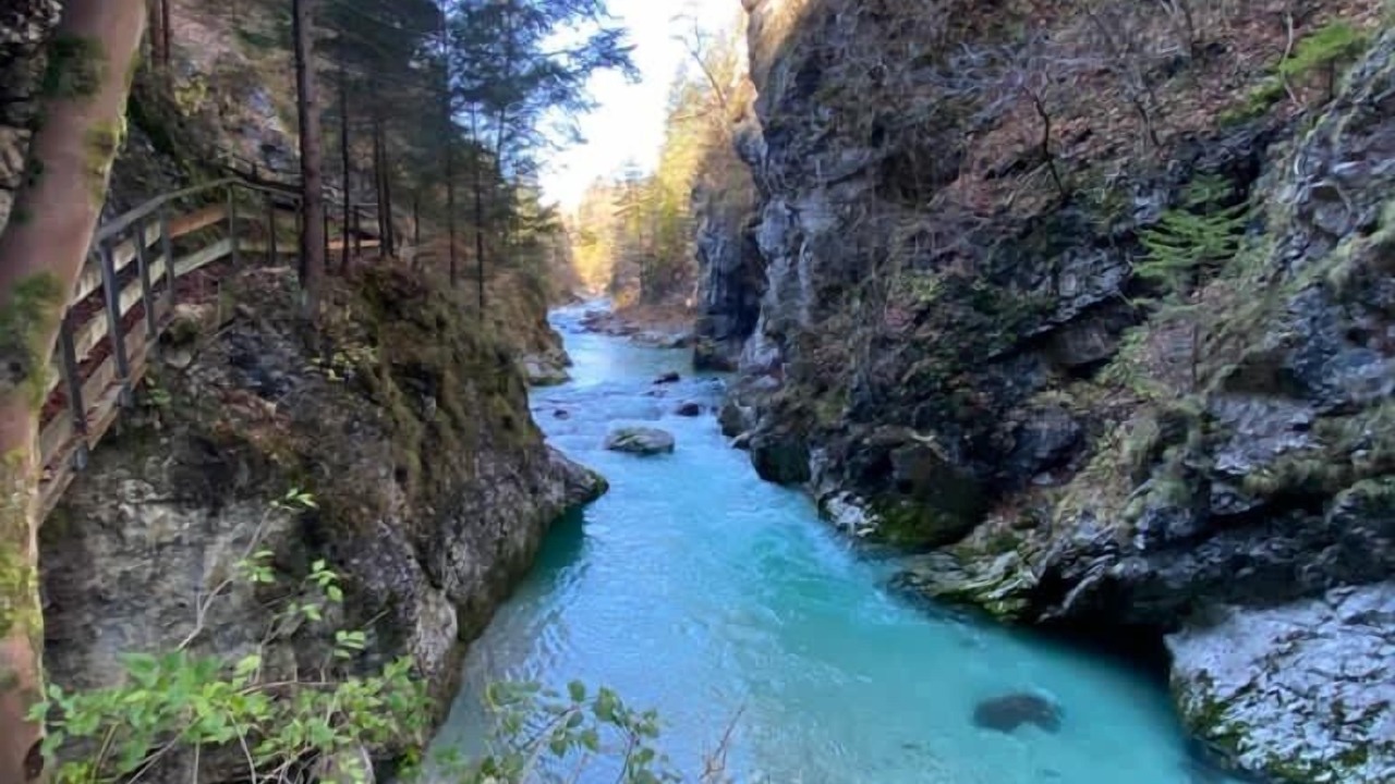 Photo of Others in Tarvisio