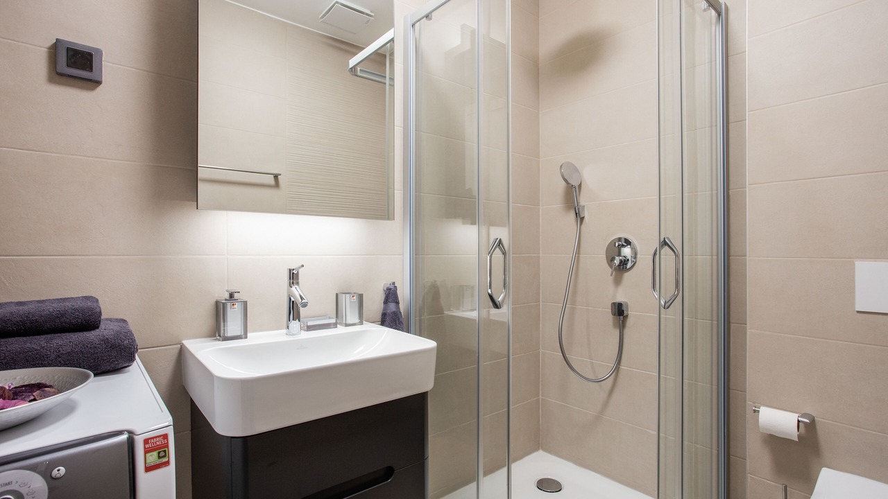 Photo of Bathroom in Novi Beograd