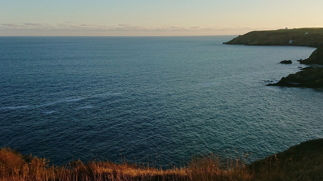 Photo of Others in Cadgwith