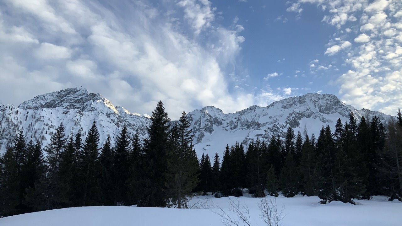 Photo of Others in Vermiglio