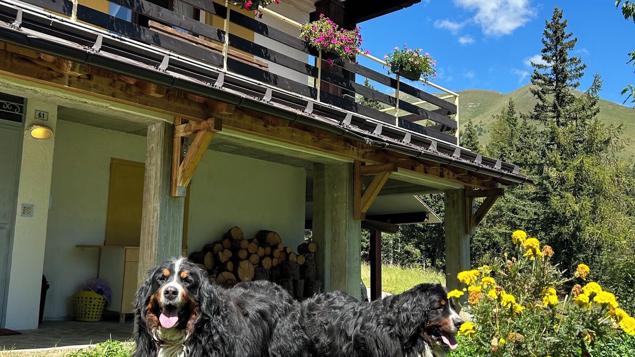 Photo of Outdoor in Vermiglio