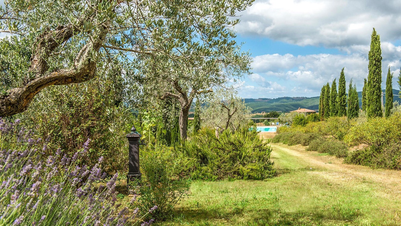 Photo of Others in Teverina di Cortona